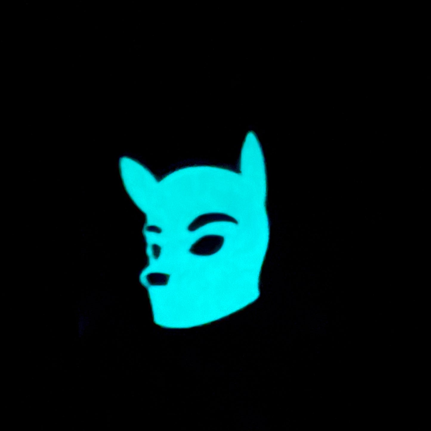 LIMITED EDITION GLOW IN THE DARK Hood Hard Enamel Pin
