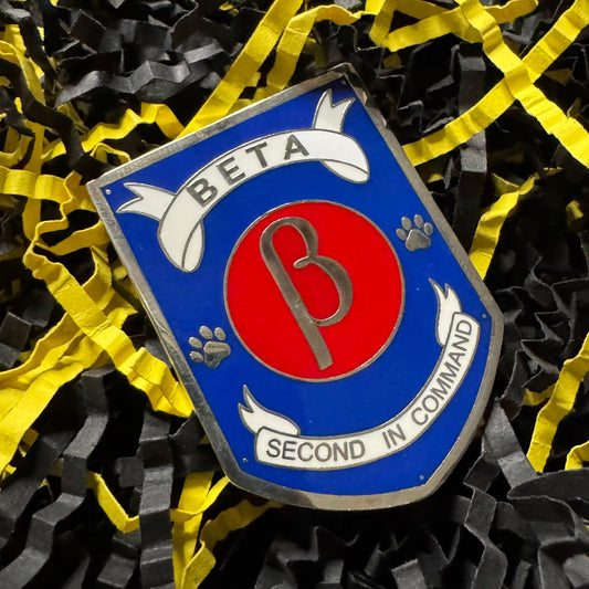 Beta Badge Hard Enamel Pin