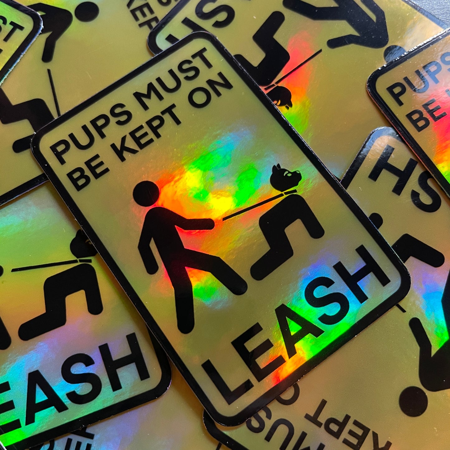 LEASH Holographic Sticker